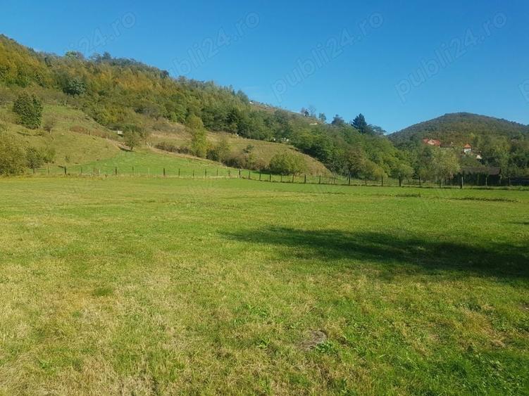 Teren de 4500 mp, în Ciucea