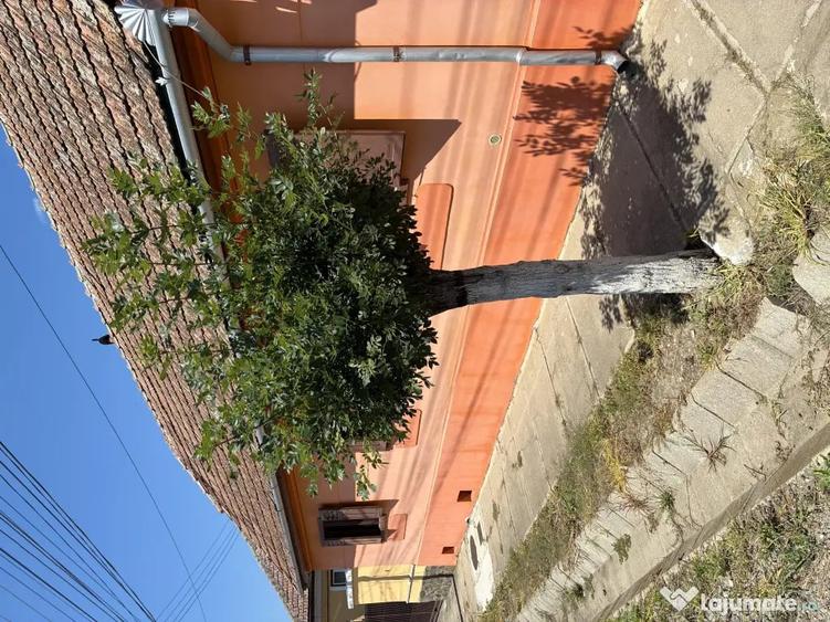 Casa de vanzare + teren 1.080 mp Miercurea Sibiului - 3