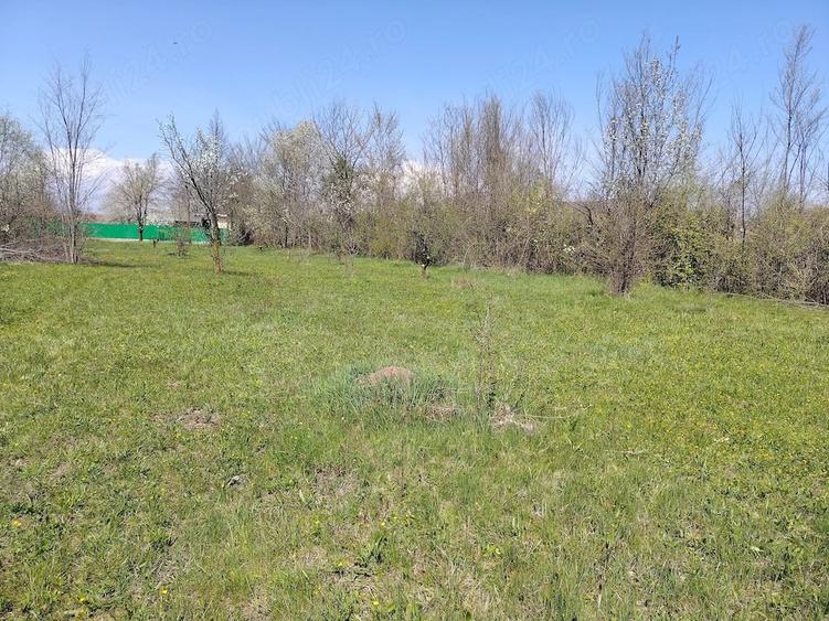 Teren de 1400 mp, în Bănești