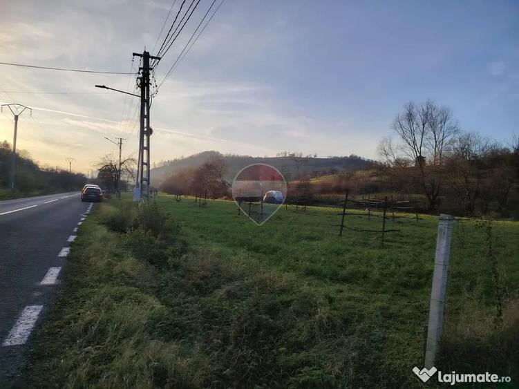 Teren în Bârsana