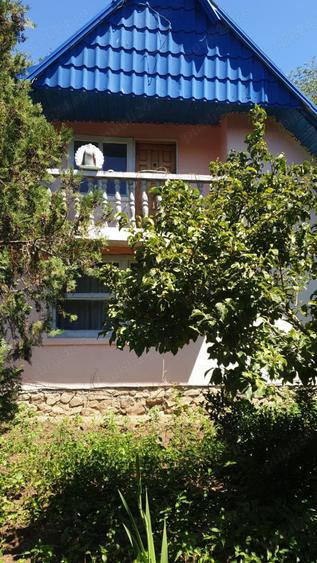 Teren de 4500 mp, în Naidăș