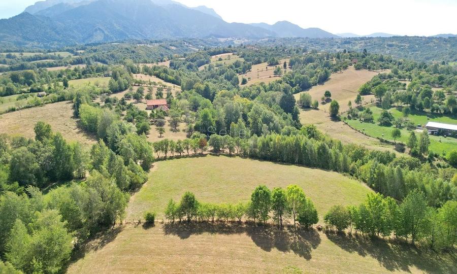 Teren Construcții intravilan de 10000 mp, în Sohodol