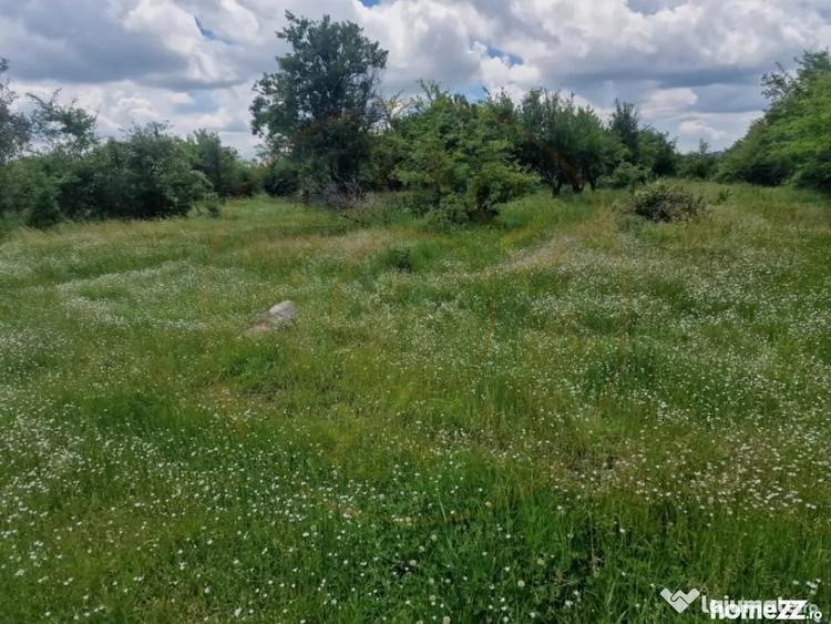 Teren intravilan - str. Prunilor - Smeura! - 2