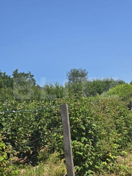 Teren agricol extravilan de 16000 mp, în Hodac