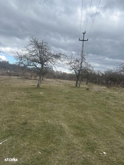 Teren de 4400 mp, în Voila