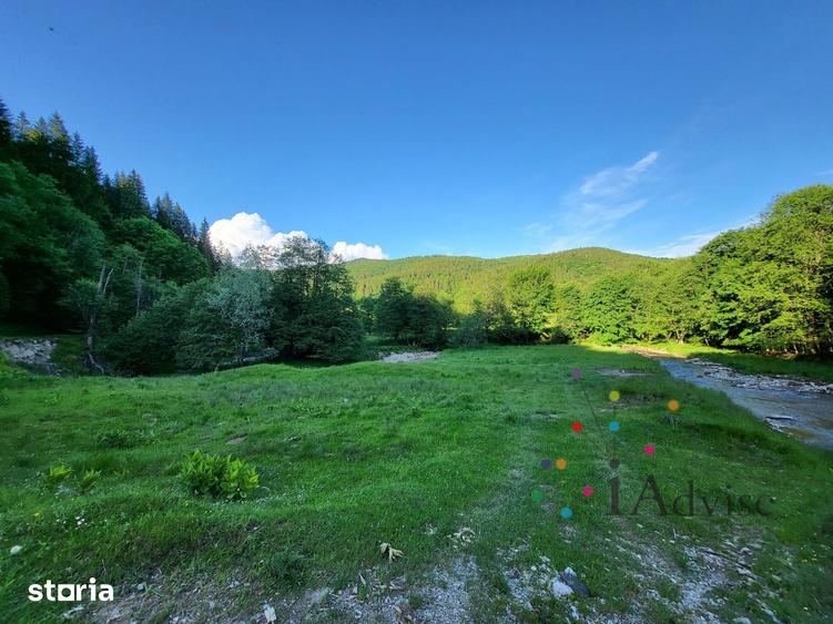 Teren de 12000 mp, în Vama Buzăului
