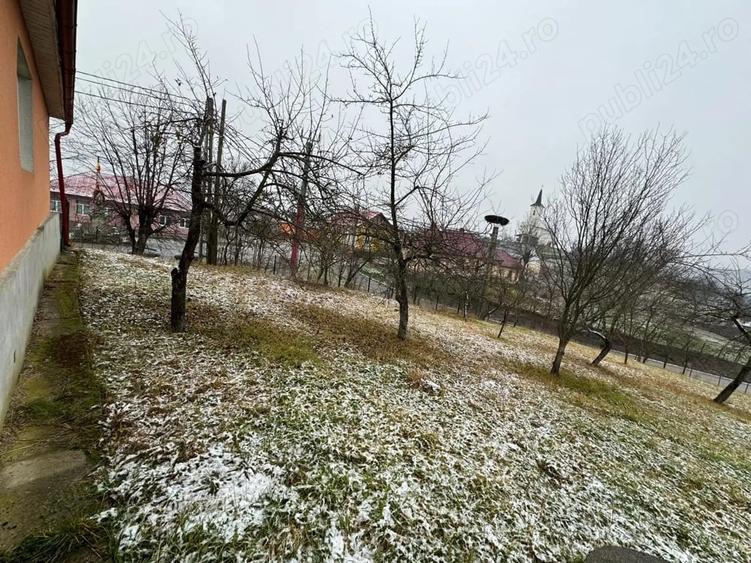 Casă cu Teren 3000 Mp în Central