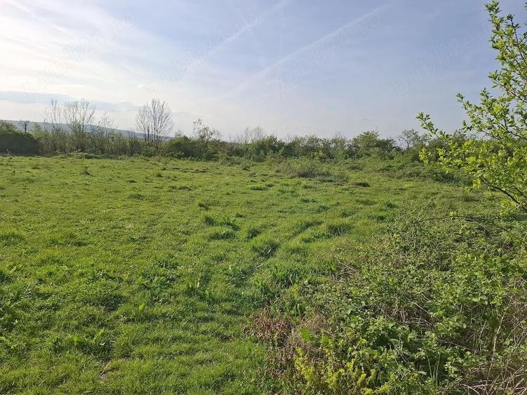 Teren de 2350 mp, în Sacoșu Mare