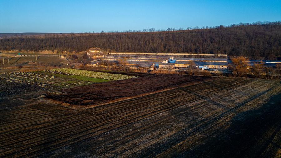 Spațiu industrial, de 50,000 mp, în Horgești