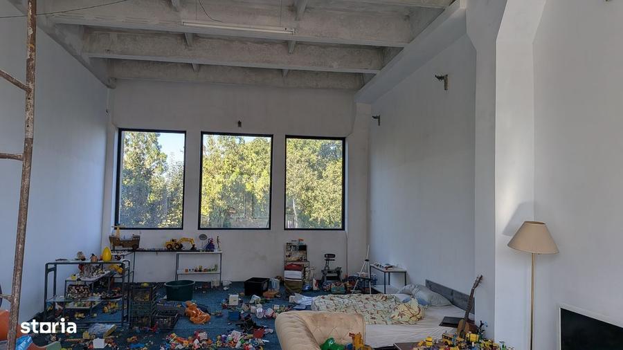 Proprietate industriala / logistica hala + cladire P+2, teren 1500 mp - 11