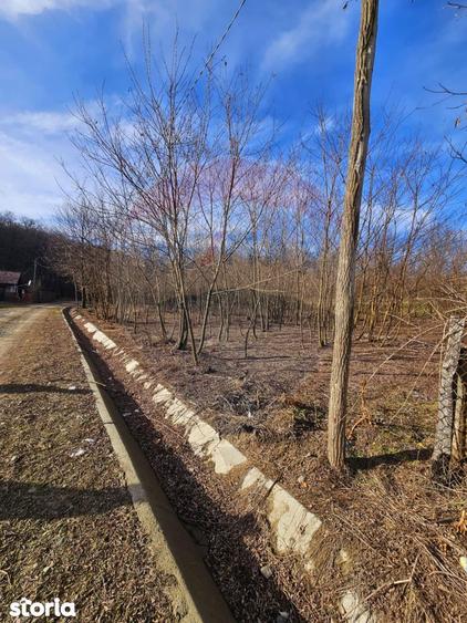 Teren de 2714 mp, în Căzănești