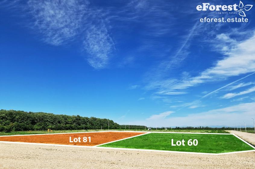 Teren Construcții intravilan de 720 mp, în Crevedia