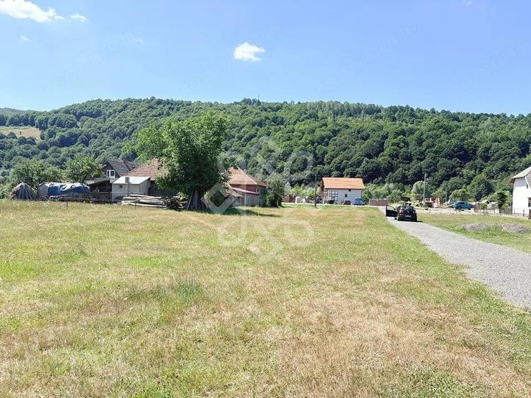 Teren de 4031 mp, în Negreni