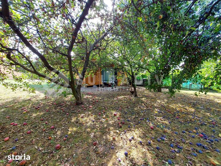 Casa individuala, teren de 2400 mp, garaj dublu-Faget, locuinta/birou - 20