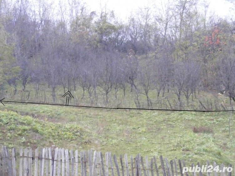 Teren de 2070 mp, în Vârfuri