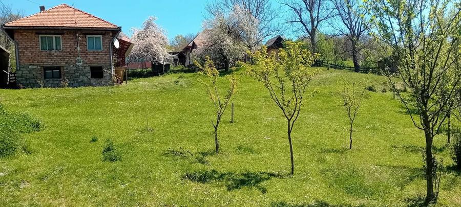 Casă cu 4 camere în Central