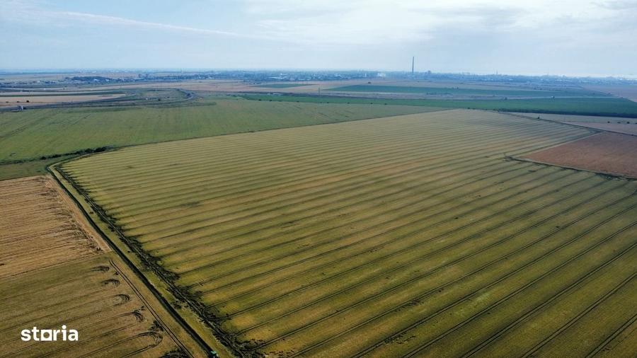 Teren intravilan 47.300 mp Cumpana, judetul Constanta - 4