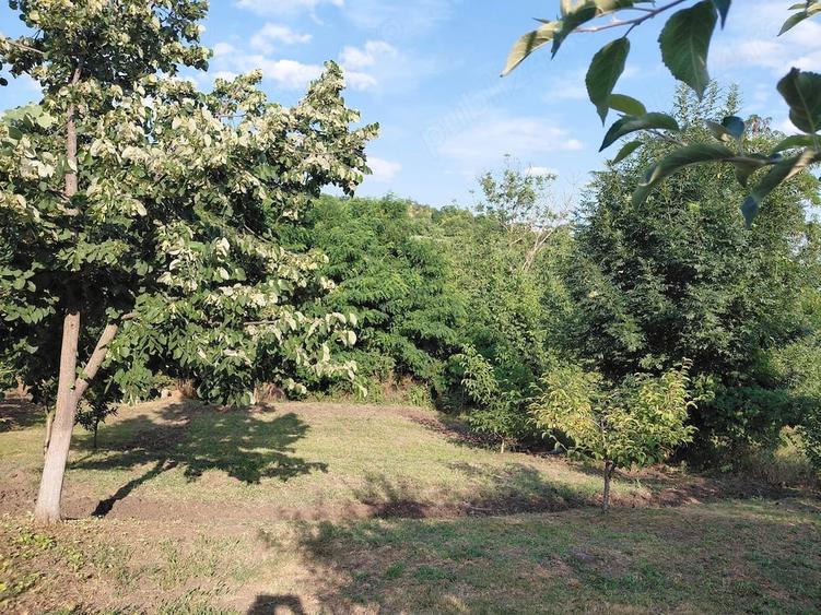 Teren de 700 mp, în Copou
