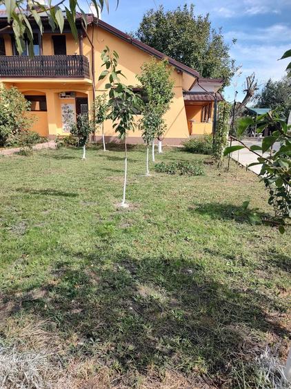 Casă cu 6 camere cu Teren 744 Mp în Vernești