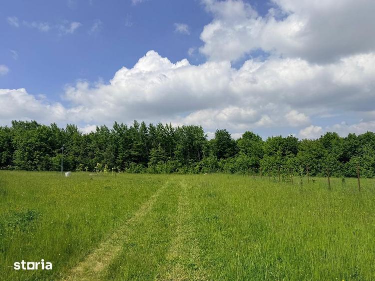 Teren de 2500 mp, în Dărmănești