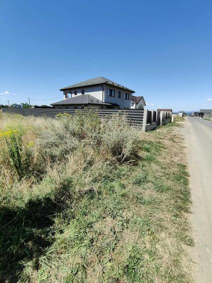 Teren de 3150 mp, în Tărlungeni
