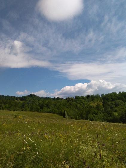 Teren de 3600 mp, în Aluniș
