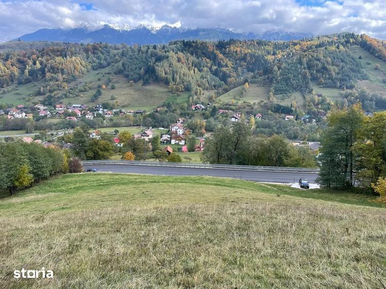 Teren de 4700 mp, în Moieciu