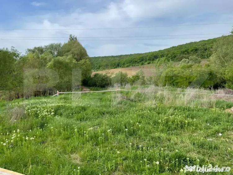Teren intravilan de vanzare, 2169 mp Str. Remetea, Tar - 4