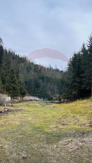 Teren Construcții intravilan de 4331 mp, în Arieșeni