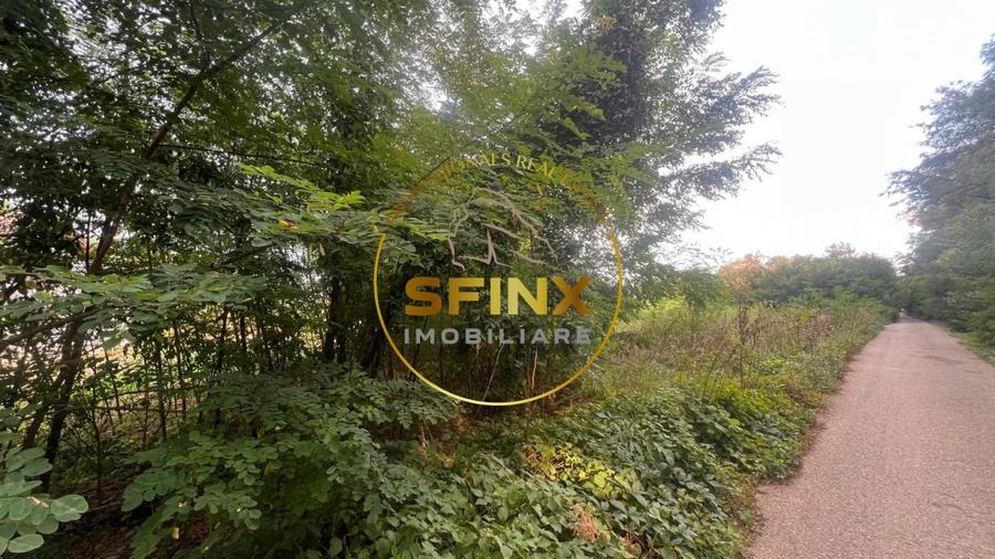 Teren Construcții intravilan de 2500 mp, în Snagov