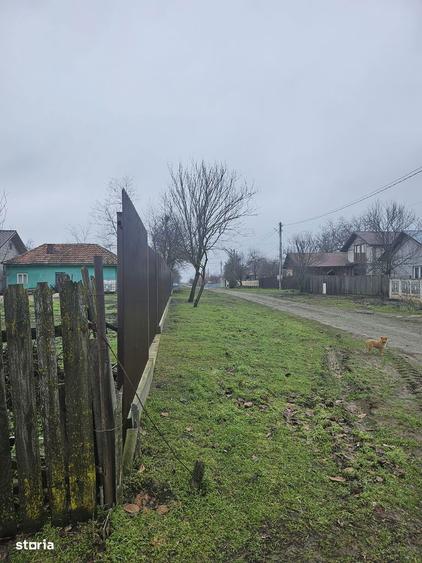 Comuna Valcelele, Strada Mircea cel Batran, Jud. Calarasi - 3