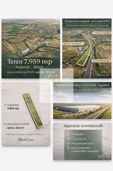 Teren Construcții intravilan de 7959 mp, în Nojorid