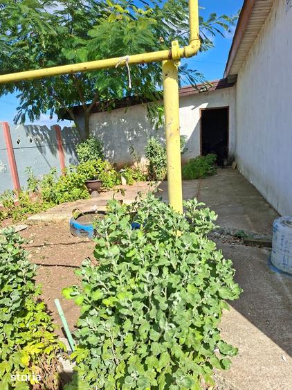 Casă cu 3 camere cu Teren 500 Mp în Limanu