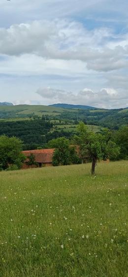 Teren de 60000 mp, în Cornea