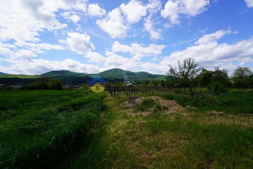 Teren intravilan de 9000 mp, în Vânători