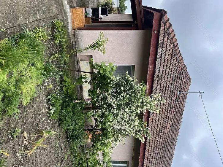 Casă cu 2 camere în Valea
