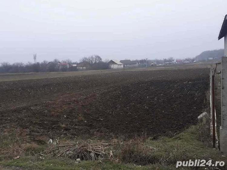 Teren de 2000 mp, în Central