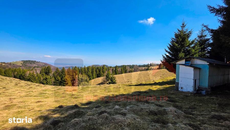 Teren Deosebit | Panoramic + PUZ+Cabana | Drumul Paltinisului | 746mp - 9