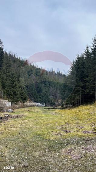 Teren de 4331 mp, în Arieșeni