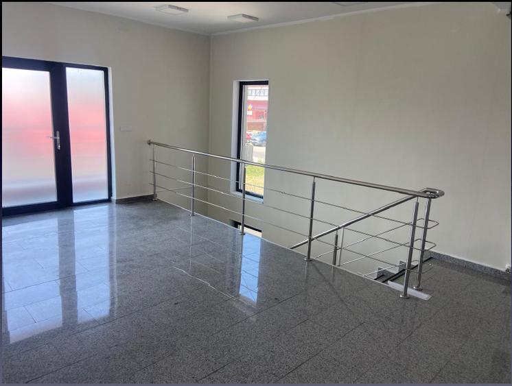 Proprietate specială, de 450 mp, în Ciolpani