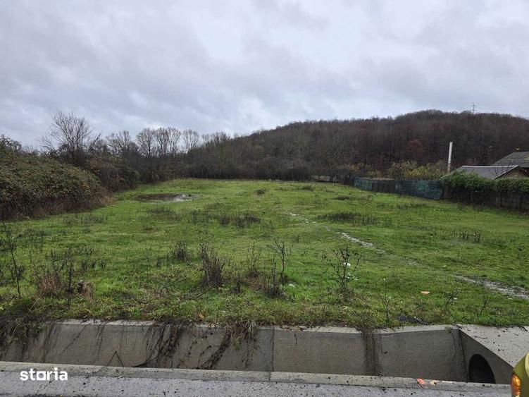 Teren de 2800 mp, în Merișani