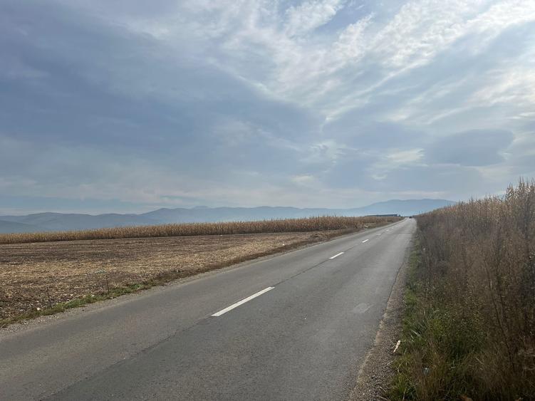 Teren agricol extravilan de 10000 mp, în Prejmer