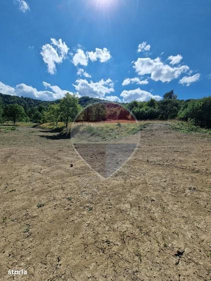 Casă cu 3 camere cu Teren 6000 Mp în Central