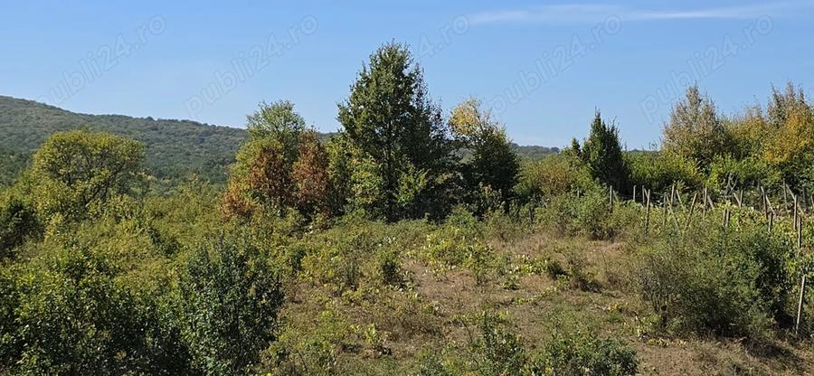 Casă cu 2 camere în Chicerea