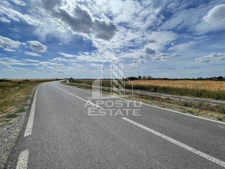 Teren de 55000 mp, în Ianova