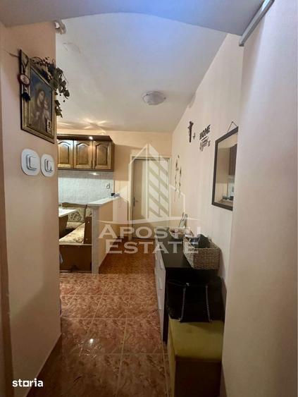 Apartament cu 2 camere semidecomandat, mobilat în Iosefin