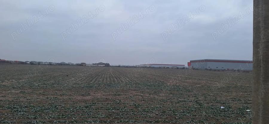 Teren intravilan Dragomiresti-Deal, Str. Ulmului, 3400mp - 8