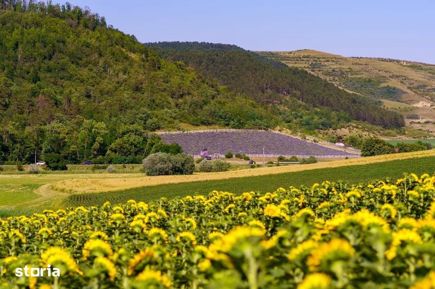Teren de 8000 mp, în Central