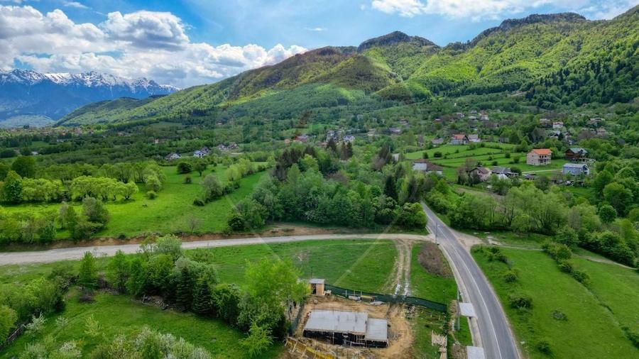 Teren Construcții intravilan de 646 mp, în Tohănița