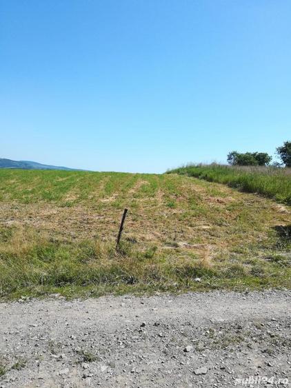 Teren de 3500 mp, în Vechea